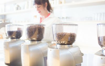 Out of Town Job Search?