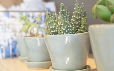 Your Career is Calling